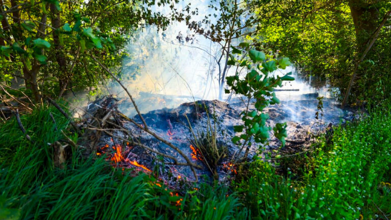 Bos in brand in Odiliapeel