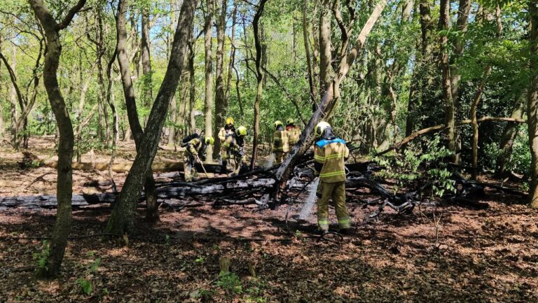 Drie minderjarigen aangehouden voor brandstichting in Zeelandse bossen