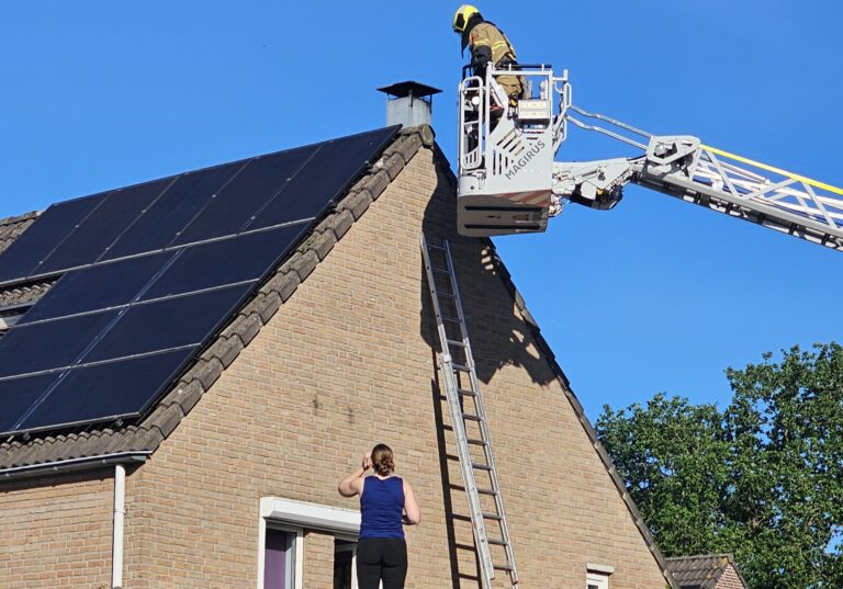 Poes verschuilt onder zonnepanelen in Uden