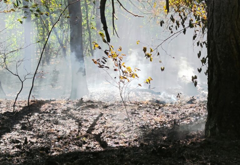 Veel rook bij natuurbrand in Uden, brand snel onder controle