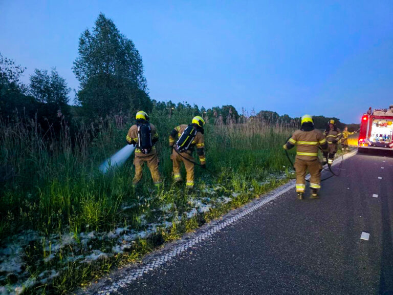 Meerdere brandhaarden langs N279 bij Heeswijk-Dinther