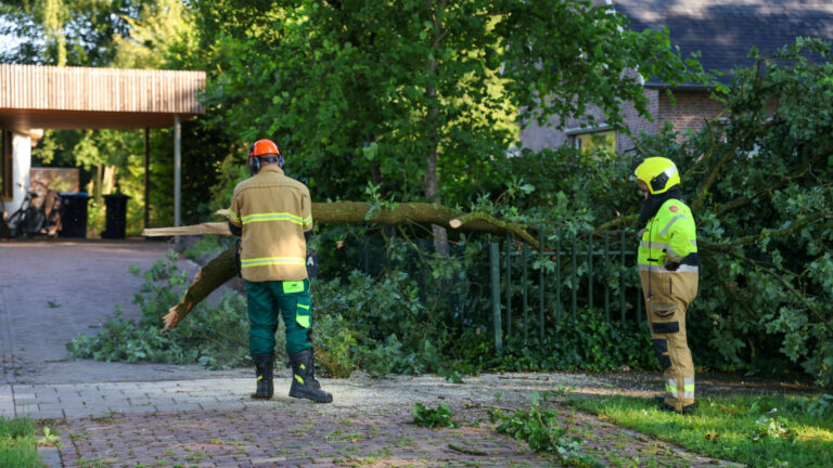 Inrit woonhuis versperd door afgebroken takken