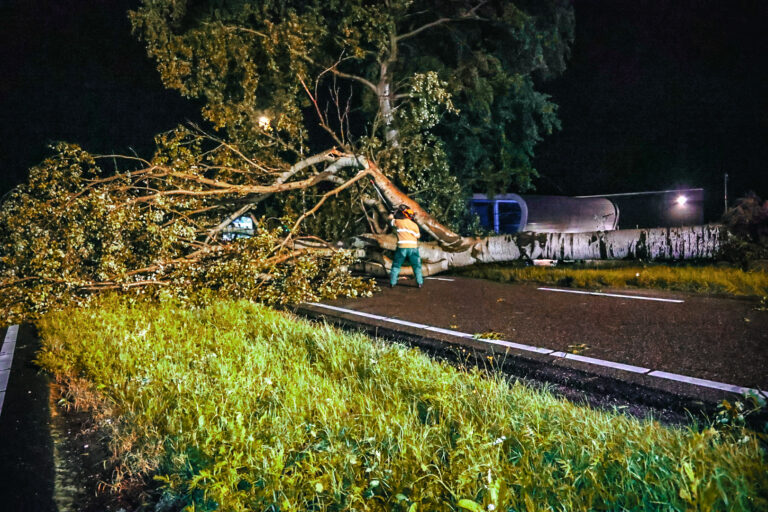 Grote bomen en takken breken als lucifers af na noodweer (VIDEO)