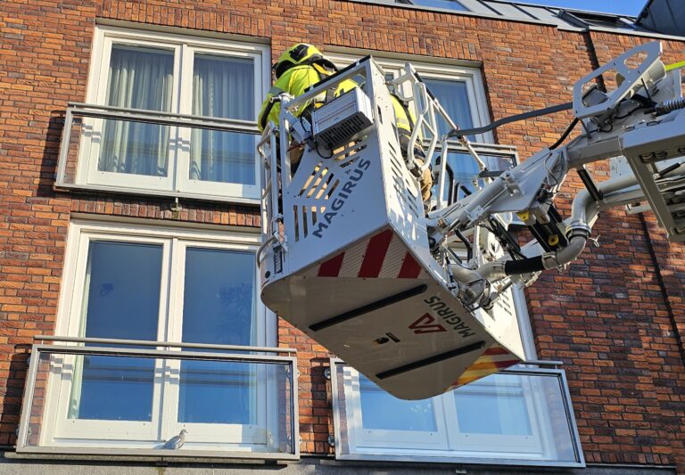Brandweer bevrijdt duif uit Frans Balkon