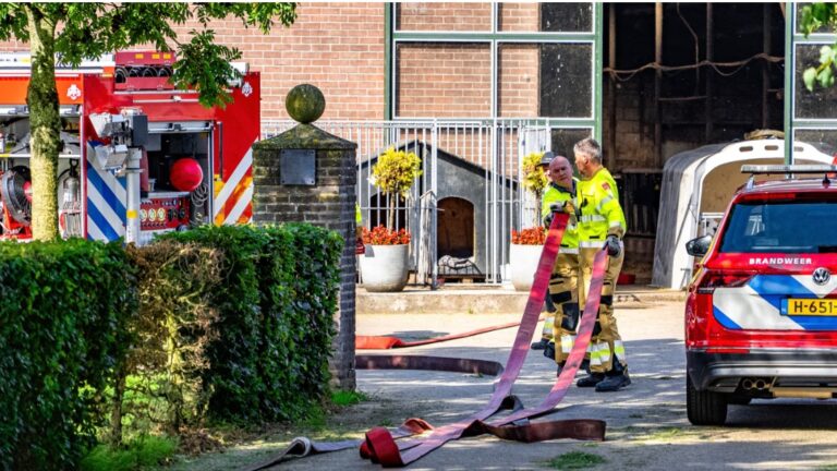 Bij drogen van gras giftige gassen vrijgekomen