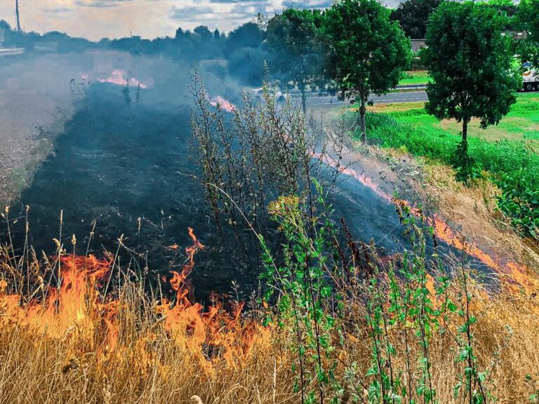 Bermbrand langs fietspad in Veghel breidt snel uit