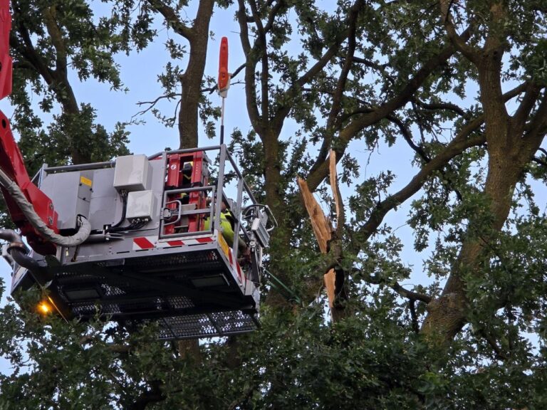 Tak dreigt op kraam te vallen in Veghel