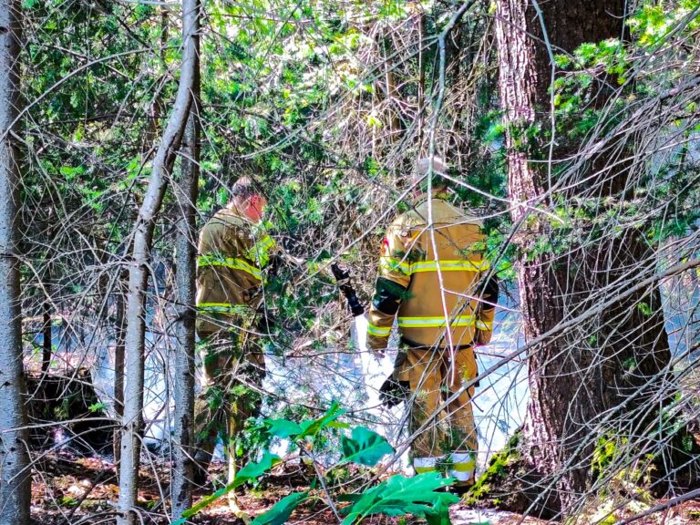 Bos in brand Udenseweg Zeeland