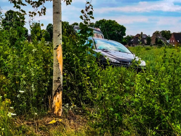 Auto raakt van de weg, raakt een boom en belandt in weiland