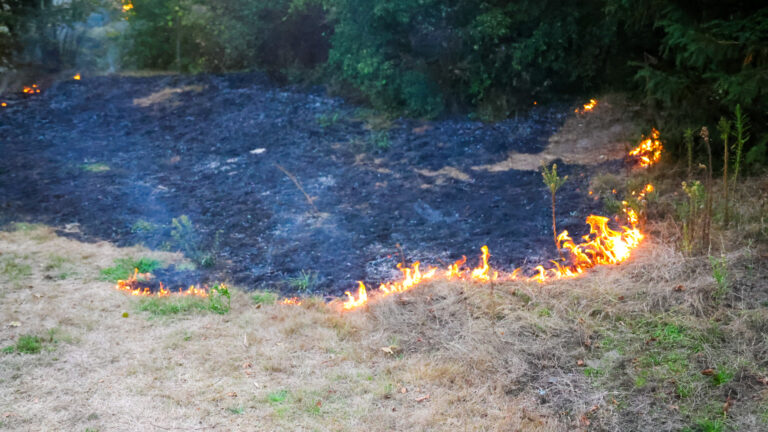 Buitenbrand bij speeltuin in Uden