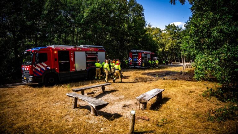 Jongens spelen met vuurwerk in bossen Oss, natuur vliegt in brand