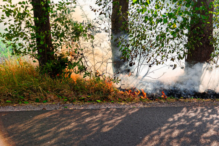 Vonken van voertuig zet zo’n 2km berm in brand
