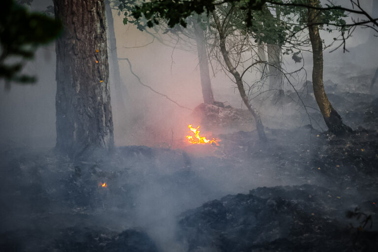 Forse brand in natuurgebied Herperduin tussen Schaijk en Herpen