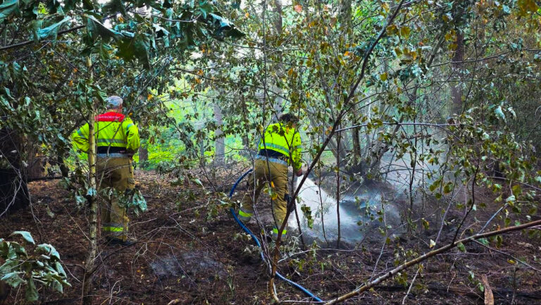 Grond in bossen Erp begint weer te smeulen