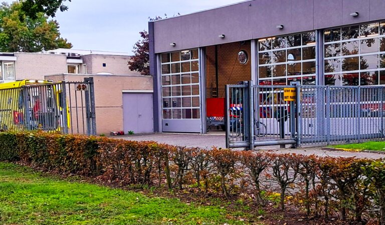 Brandweerman onwel na steek van hoornaar