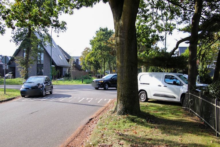 Busje ramt hekwerk en belandt in voortuin na aanrijding in Heesch