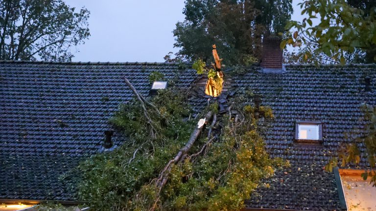 Boom breekt door wind en valt door dak woonboerderij in Volkel