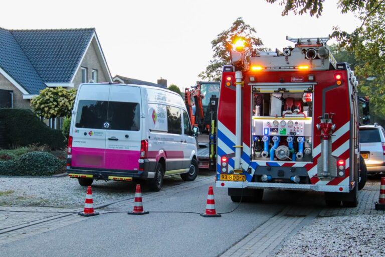 Hennepkwekerij aangetroffen op terrein in Demen