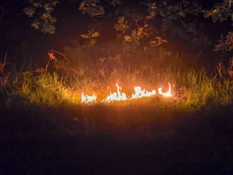 Meerdere brandhaarden in bosgebied Berlicum, mogelijk brandstichting