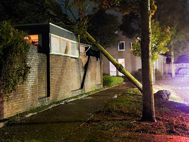 Boom valt door harde wind tegen dak veranda